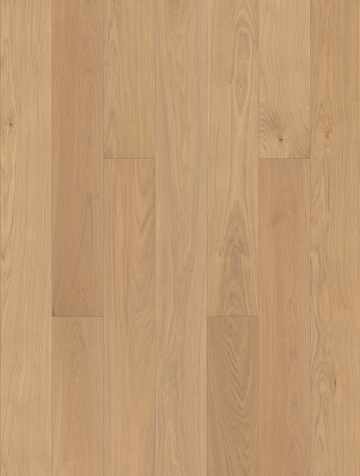 Lorvena | Farbe: Eiche Creme Select geölt | Produktbild