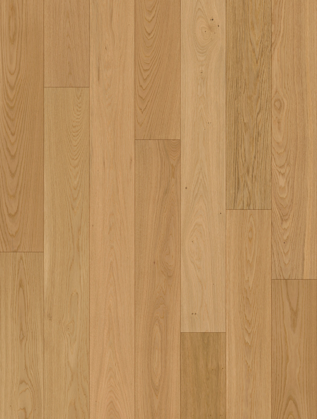 Lorvena | Farbe: Eiche Select geölt | Produktbild