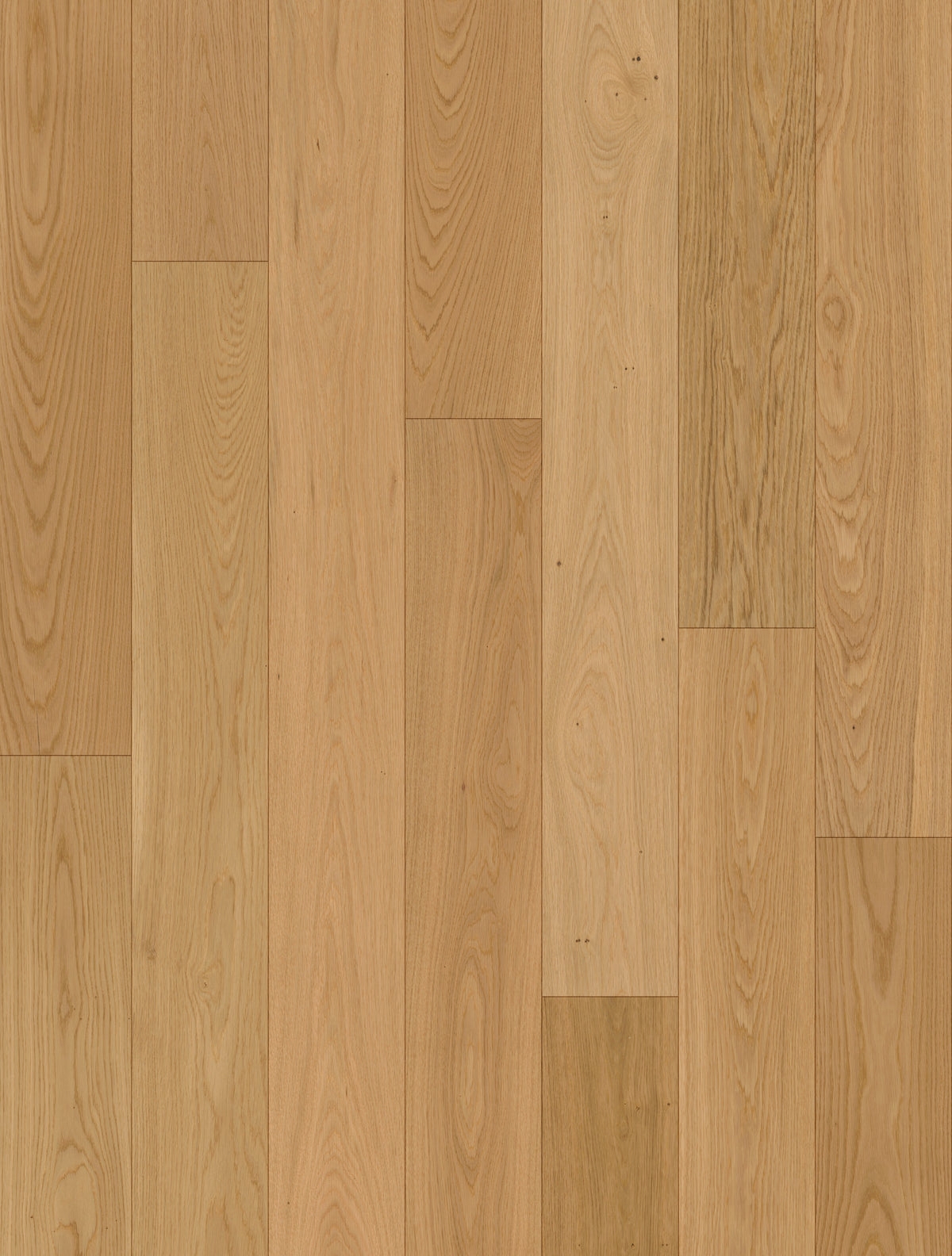 Lorvena | Farbe: Eiche Select geölt | Produktbild