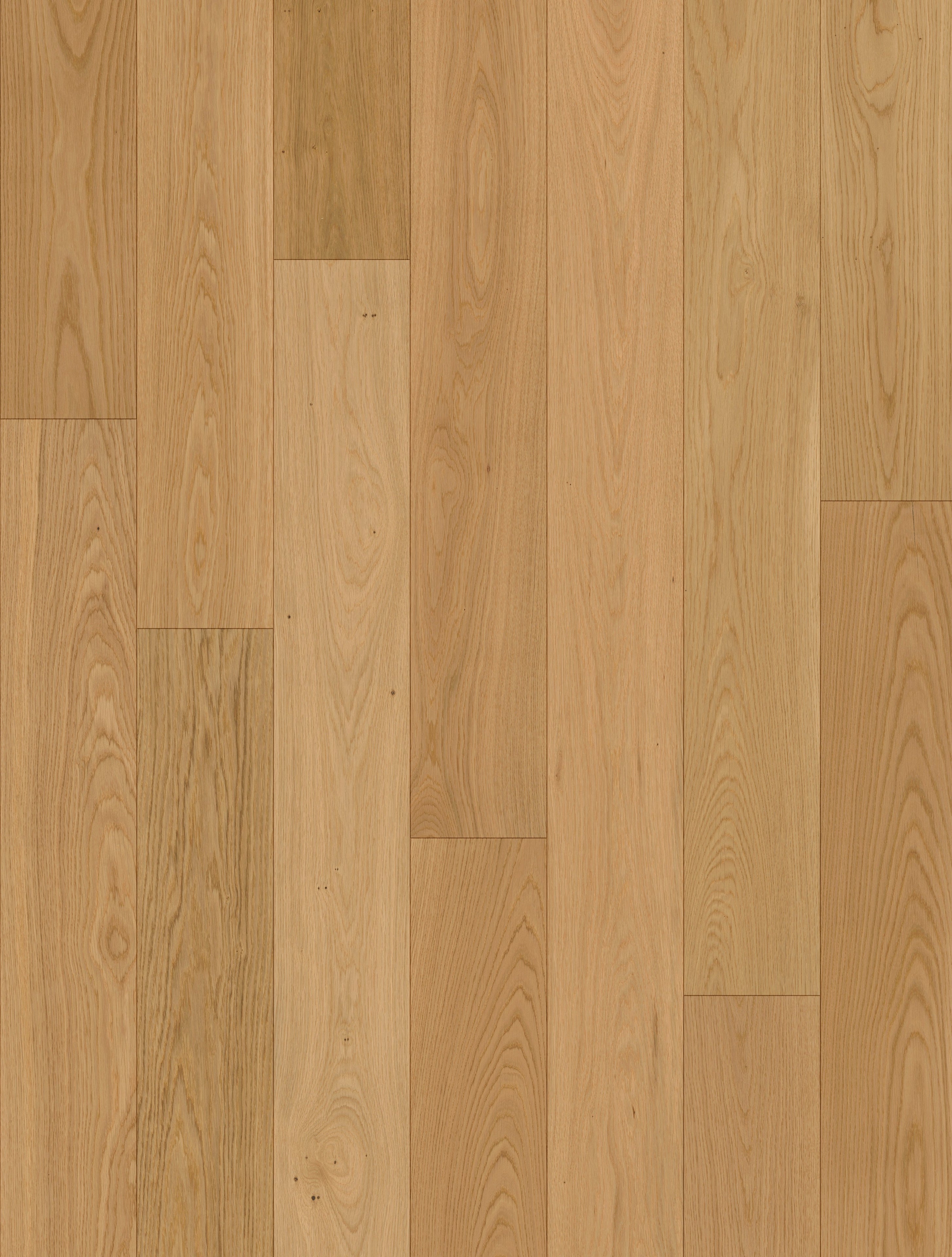 Lorvena | Farbe: Eiche Select lackiert | Produktbild