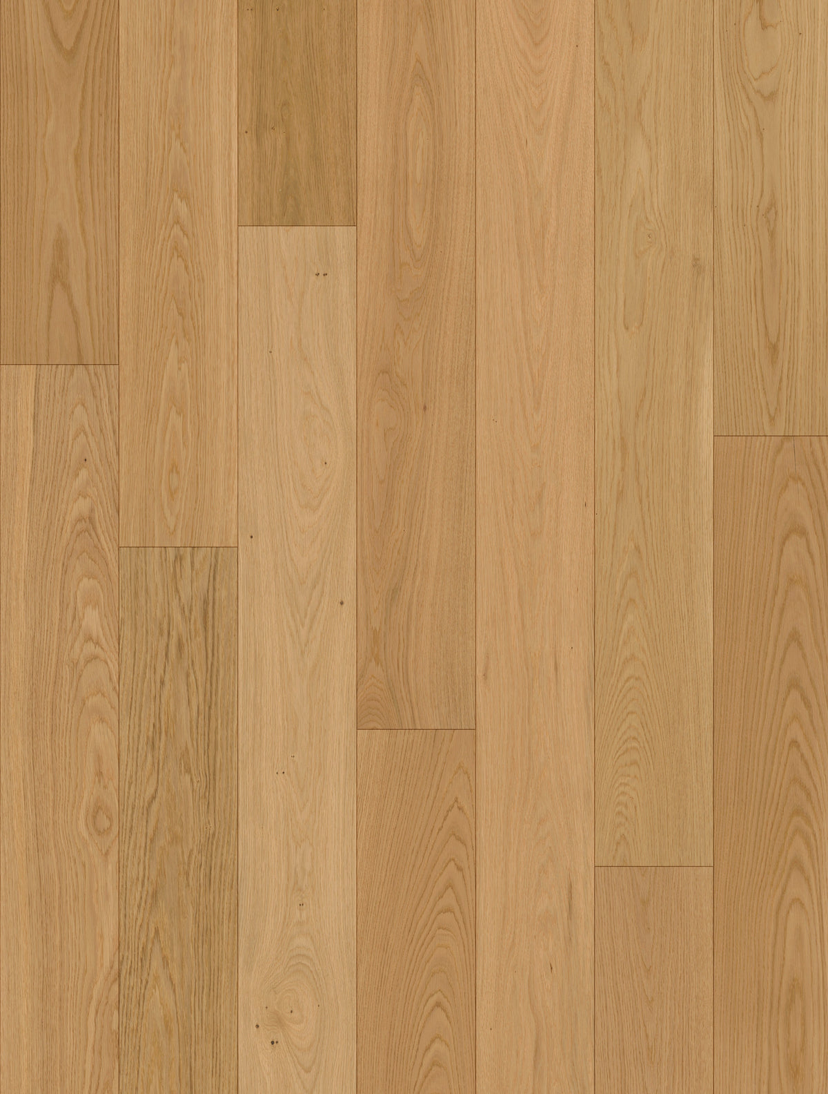 Lorvena | Farbe: Eiche Select lackiert | Produktbild