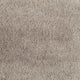 Taupe (495)