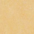 Sand Gold