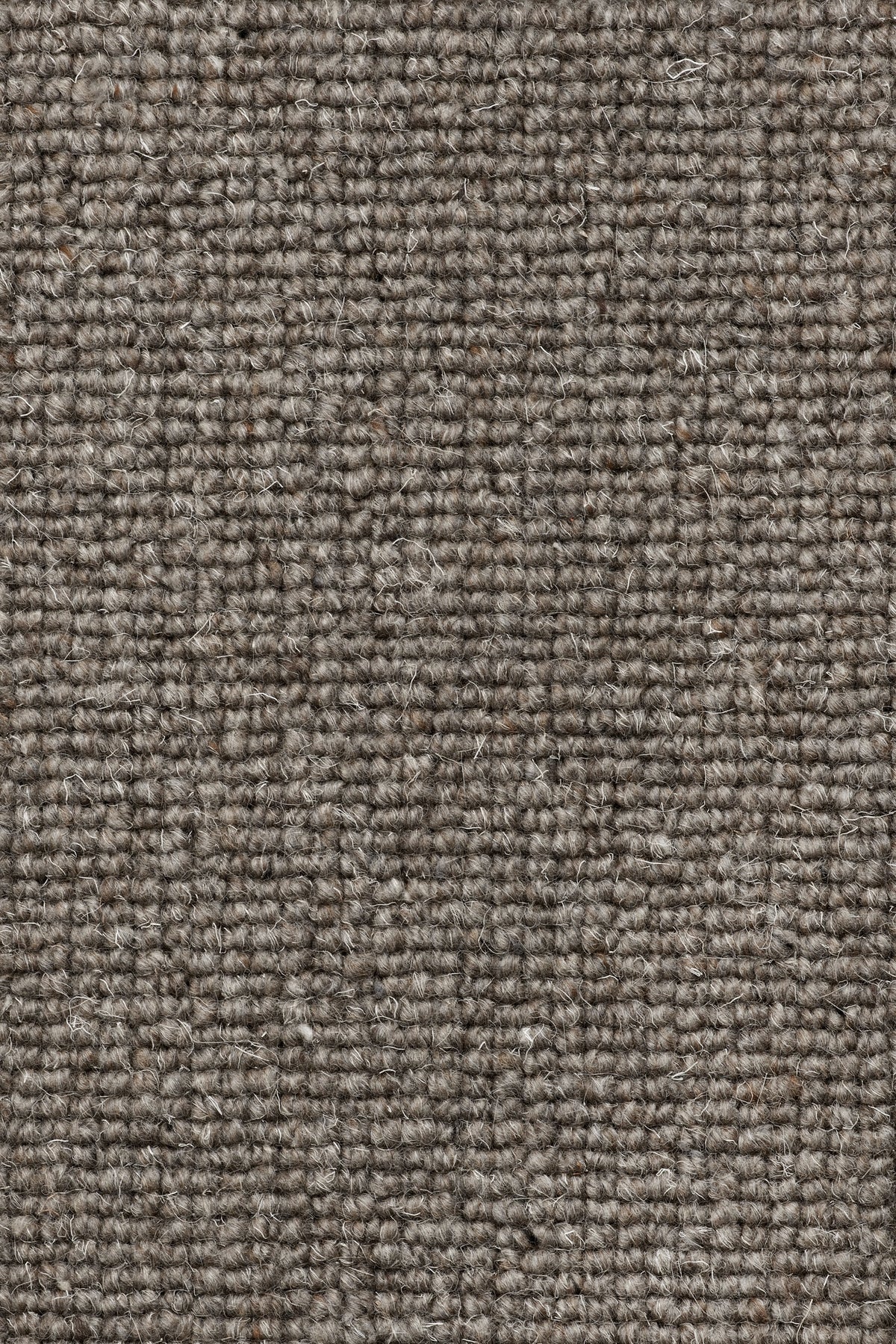 Marlena Teppichboden | Farbe: Dunkeltaupe Dunkel (102)