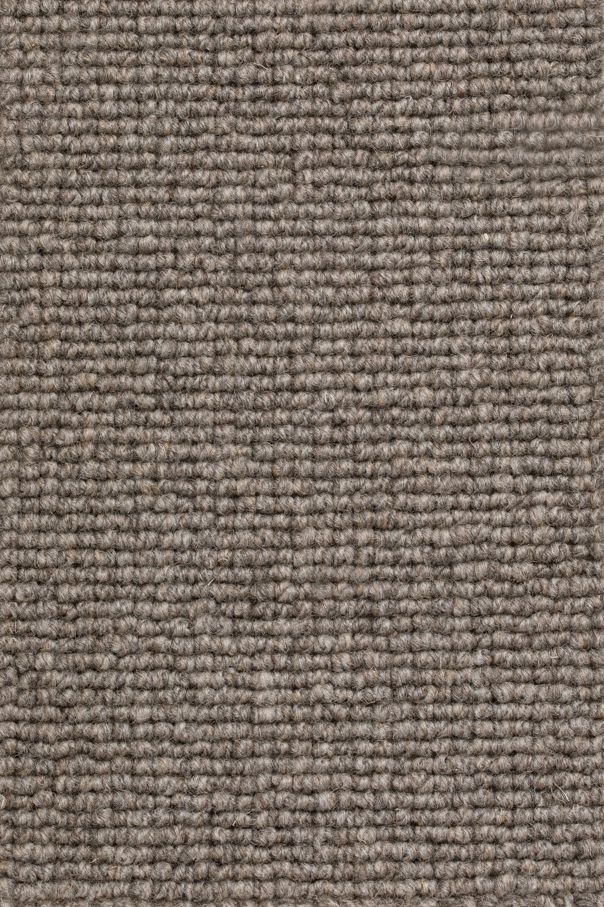 Marlena Teppichboden | Farbe: Dunkeltaupe Hell (145)