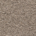 Taupe (140)