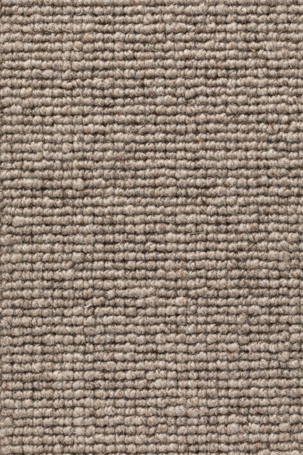 Marlena Teppichboden | Farbe: Taupe (140)