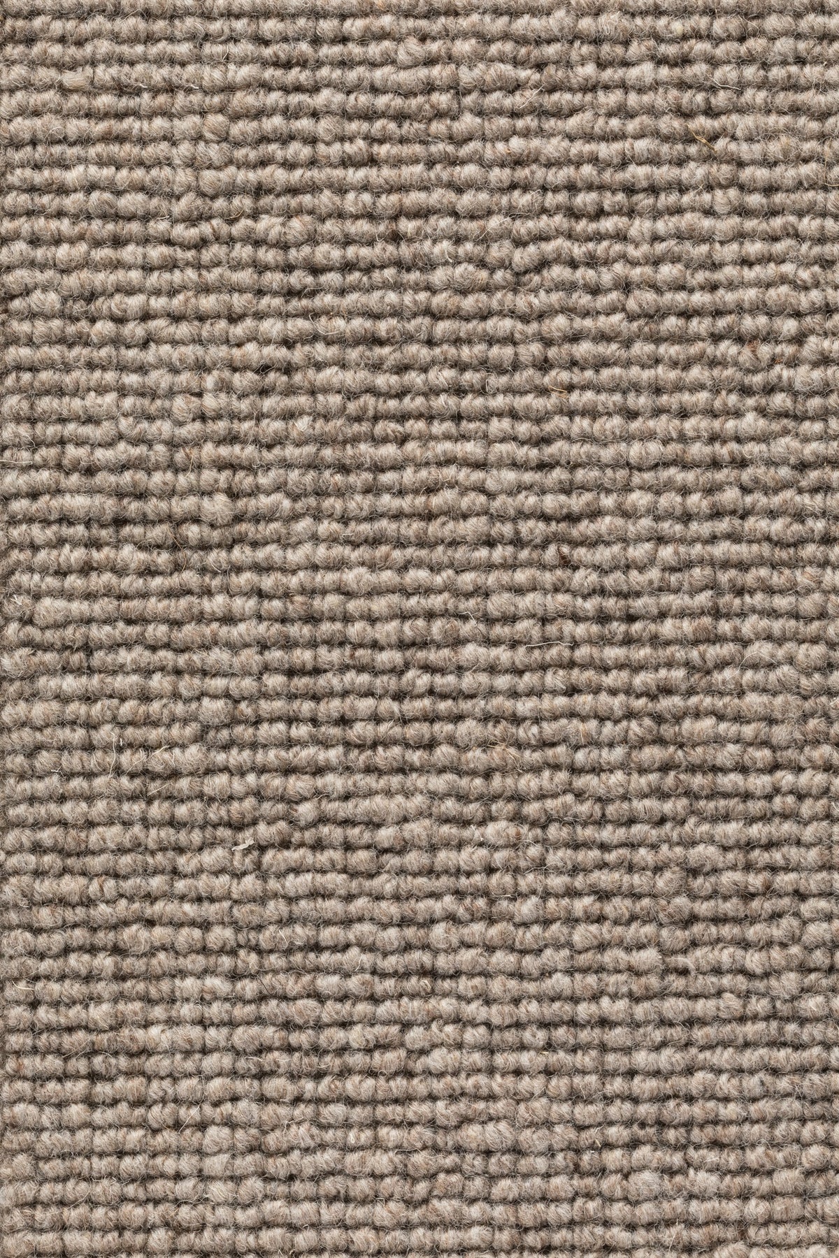 Marlena Teppichboden | Farbe: Taupe (140)
