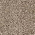Taupe (430)