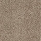 Taupe (430)