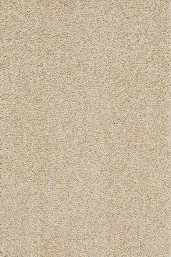 Mirello Teppich nach Maß | Farbe: Creme (440) | Musterfoto (Farbe kann abweichen)