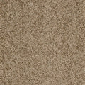 Sand (460)