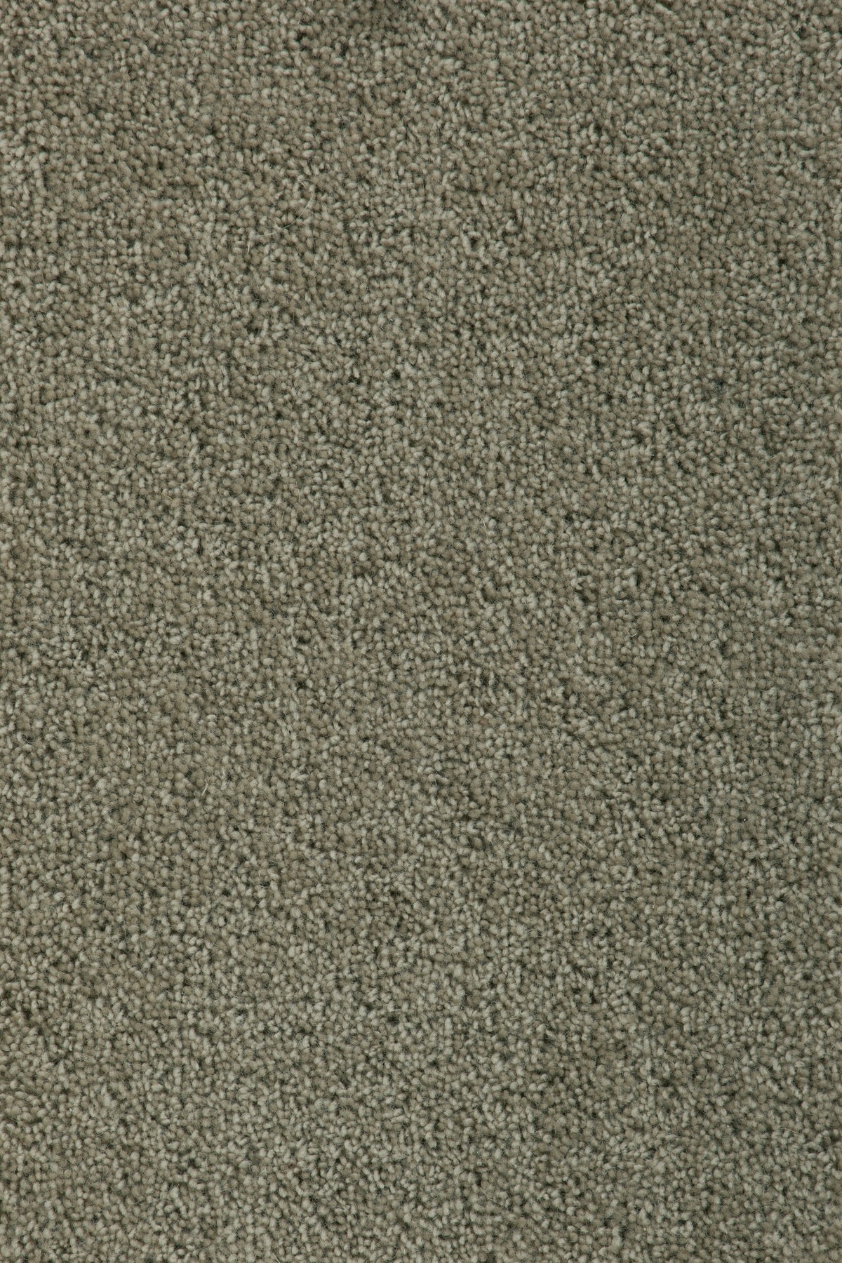 Mirvella Teppichboden | Farbe: Dunkeltaupe (3048)