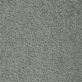 Grau (3013)