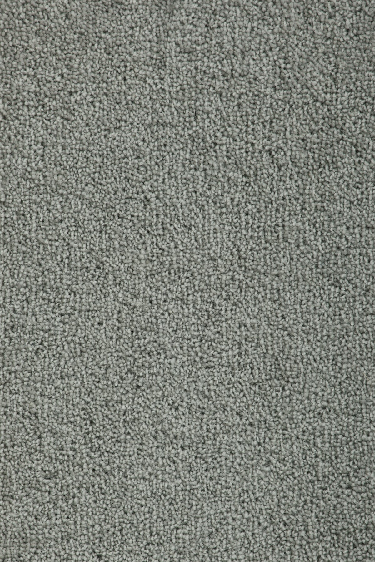 Mirvella Teppichboden | Farbe: Grau (3013)