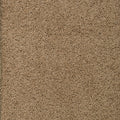 Haselnuss (3764)