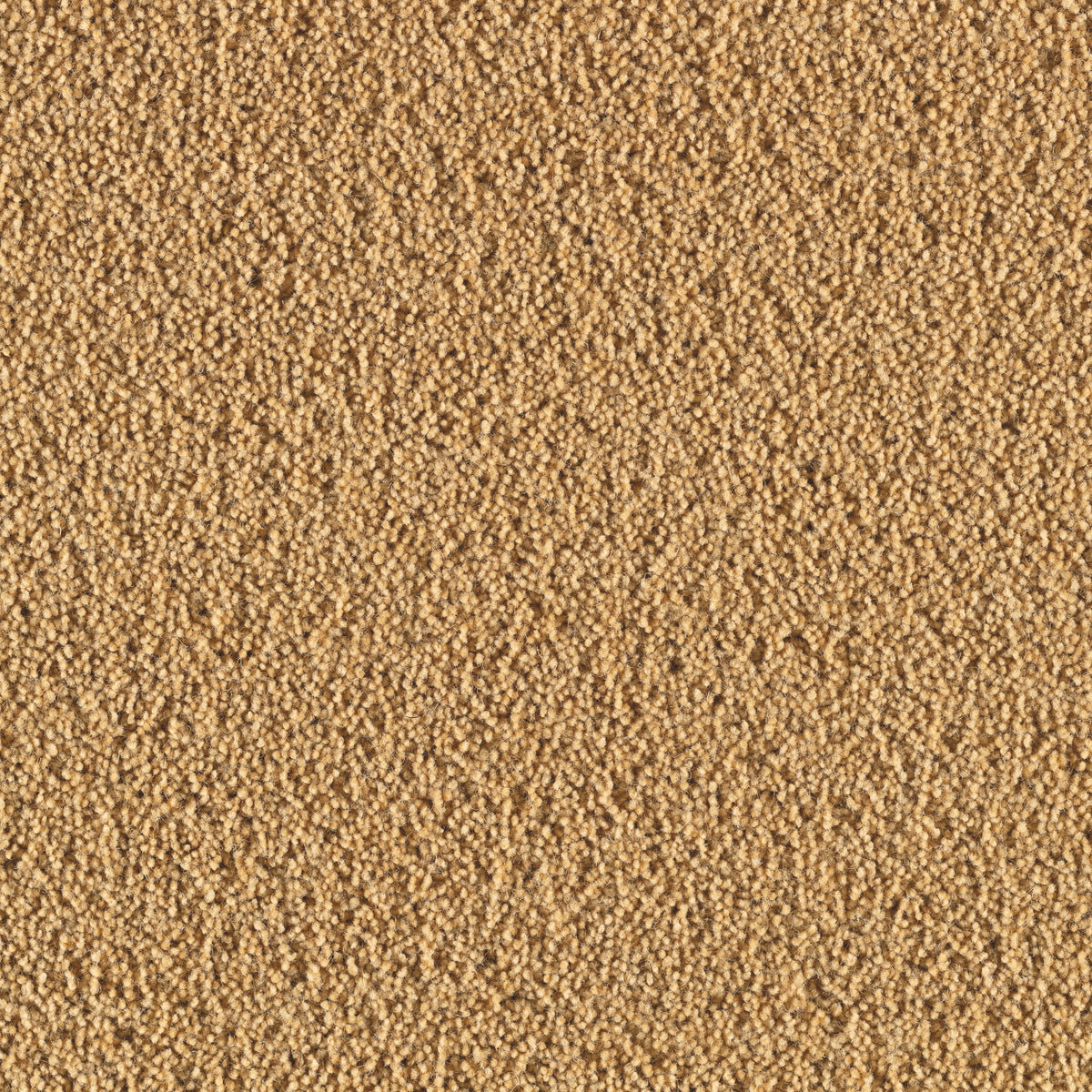 Mirvella Teppichboden | Farbe: Karamell (3090)