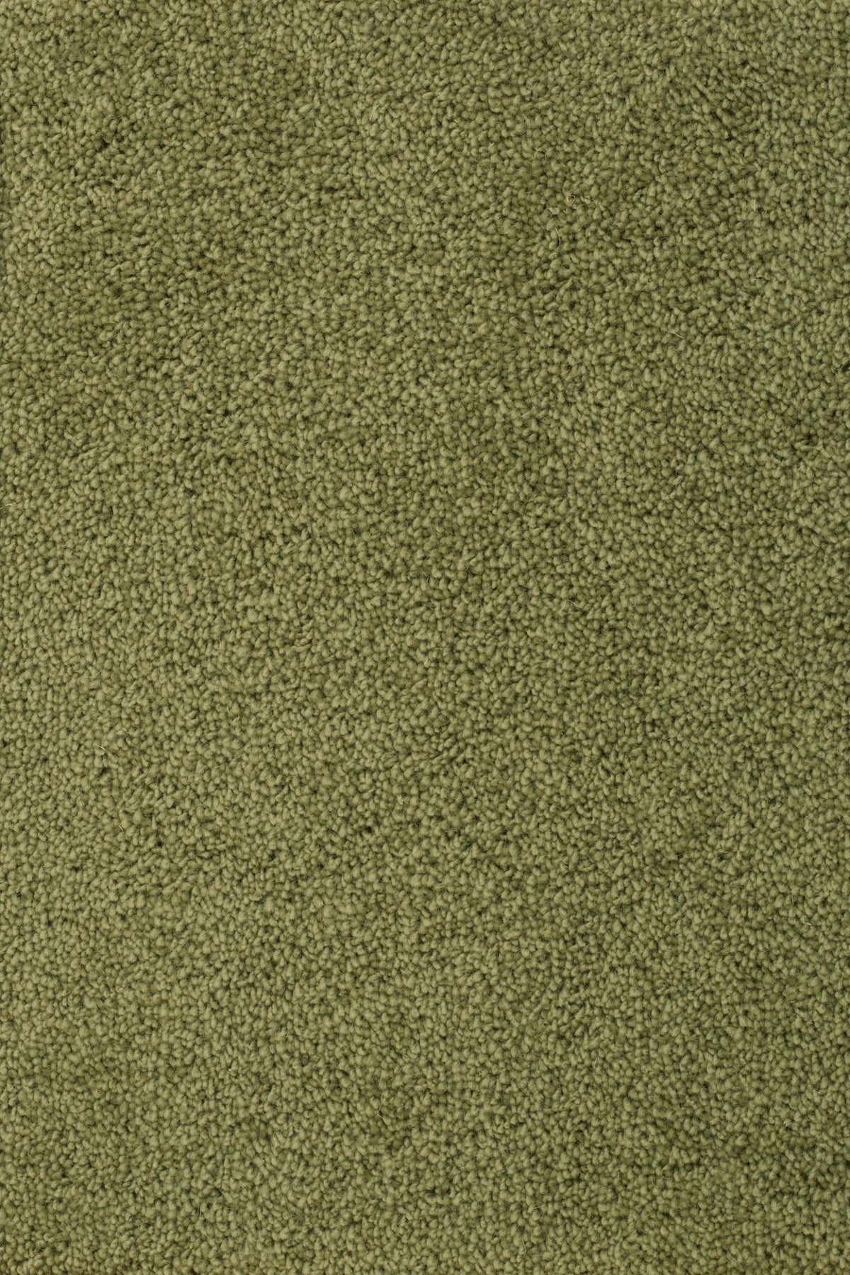 Mirvella Teppichboden | Farbe: Olivgrün (3072)