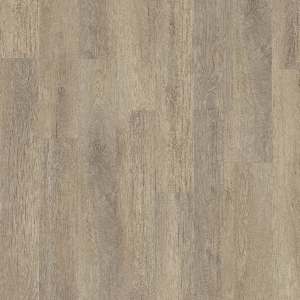 Mondesto Eiche Greige Klickvinyl