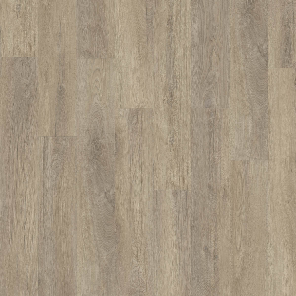 Mondesto Eiche Greige Klickvinyl
