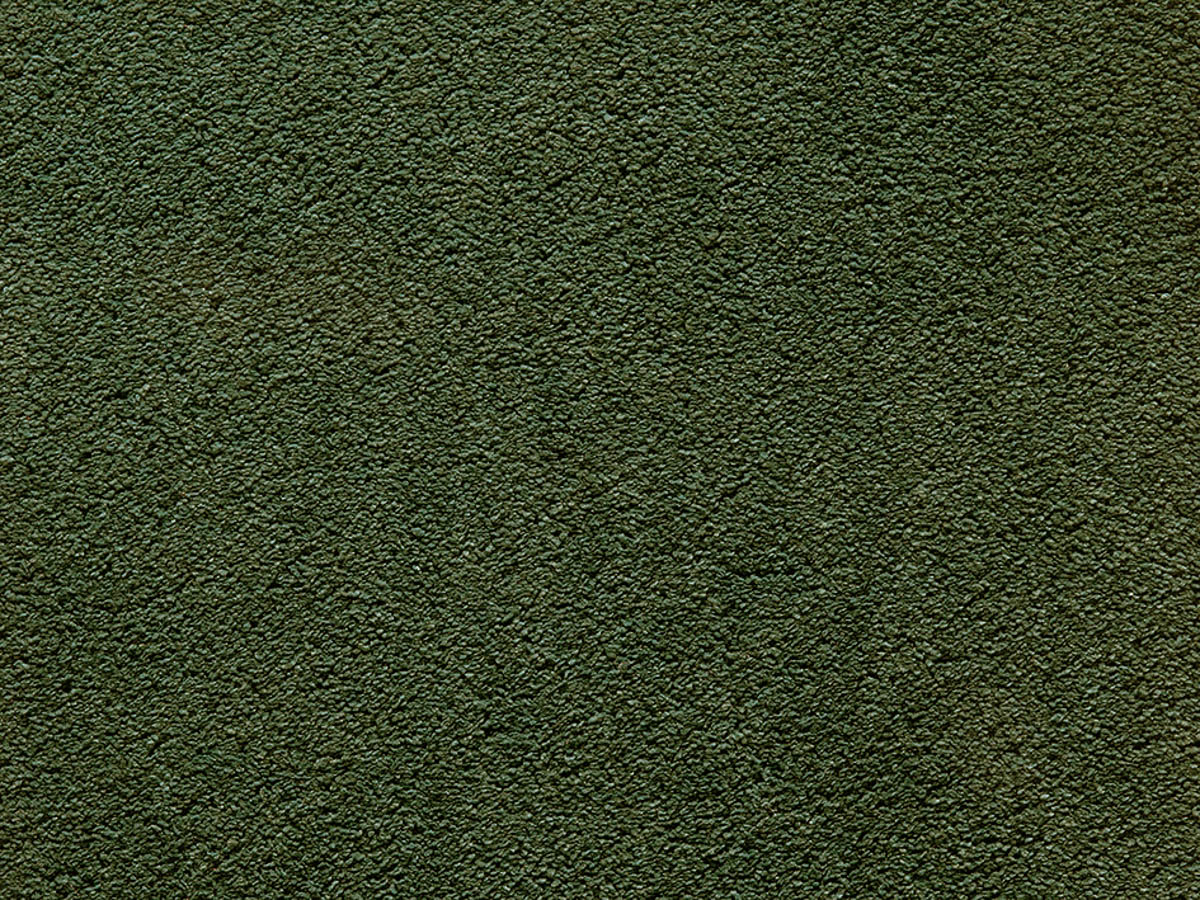 Myrtilla Teppich nach Maß | Farbe: Moosgrün (026) | Farbfoto (Farbe kann abweichen)
