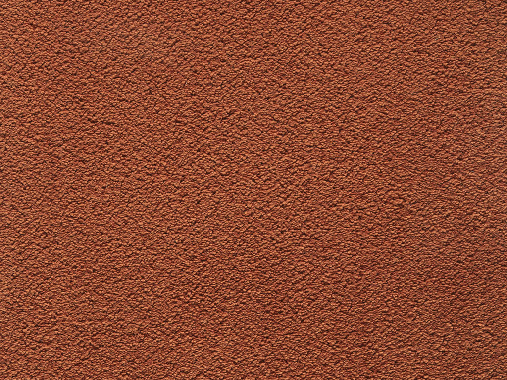 Myrtilla Teppichboden | Farbe: Terrakotta (066)