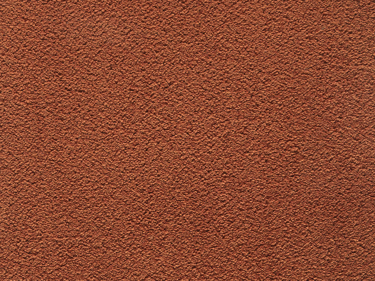 Myrtilla Teppichboden | Farbe: Terrakotta (066)