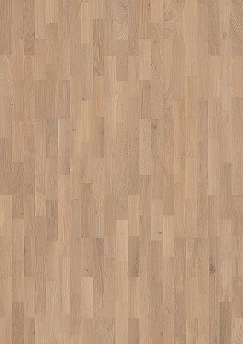 Navessa | Farbe: Eiche Hellbeige Natur lackiert | Produktbild