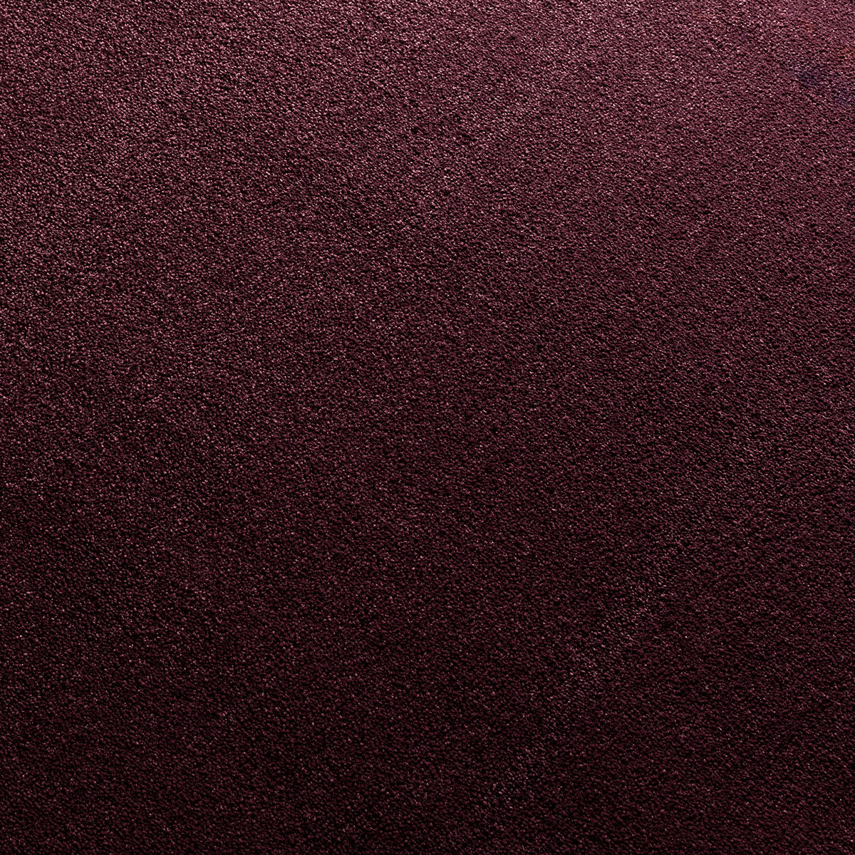 Nemesia Teppichboden | Farbe: Aubergine (388)