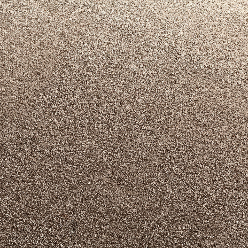 Nemesia Teppichboden | Farbe: Taupe (222)