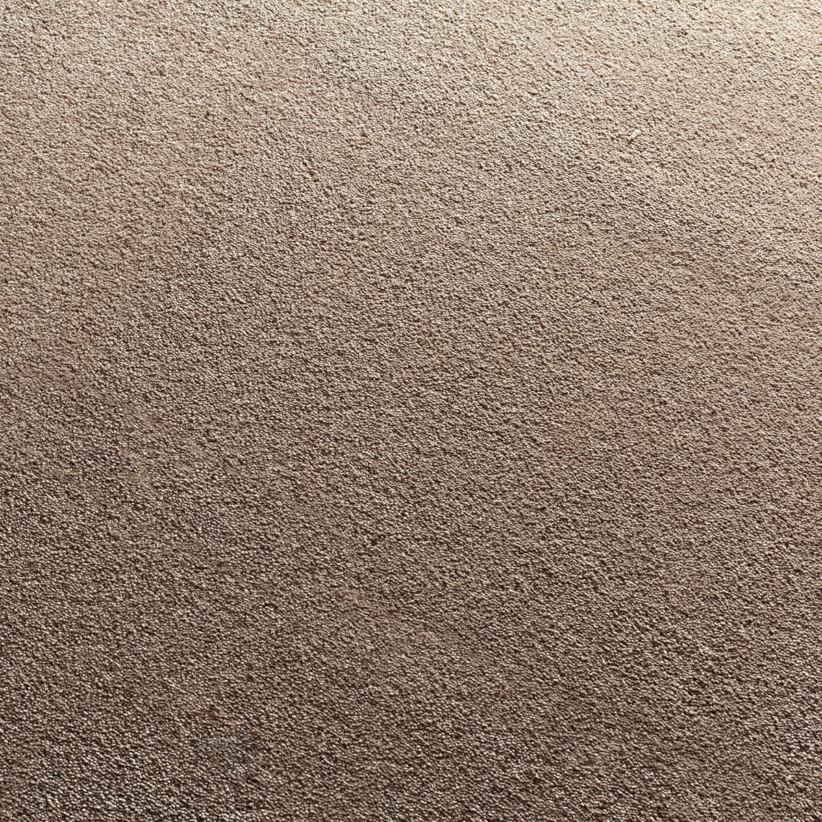 Nemesia Teppichboden | Farbe: Taupe (222)