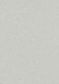 Nuvorino PVC-Boden homogen 200cm | Farbe: Hellgrau | Farbansicht