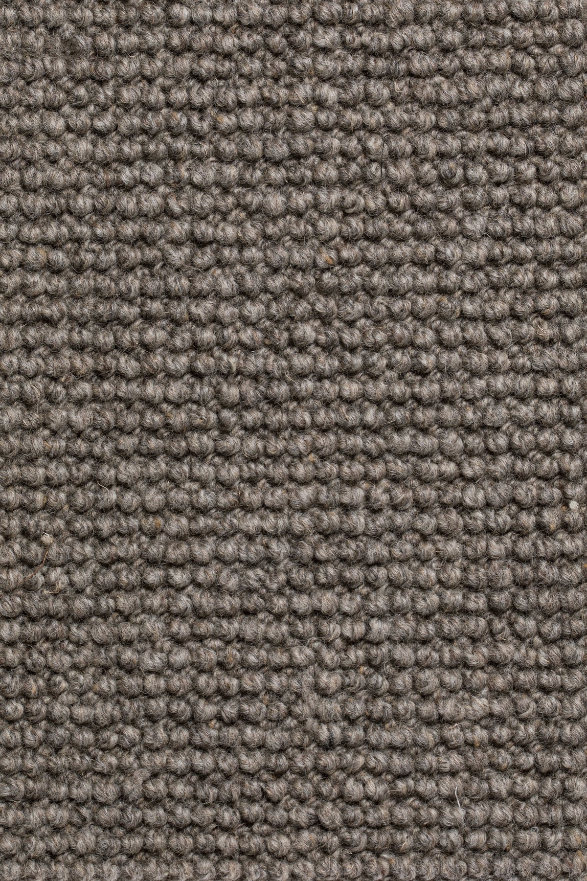 Olvessa Teppichboden | Farbe: Dunkeltaupe Dunkel (245)