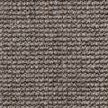 Dunkeltaupe Hell (202)