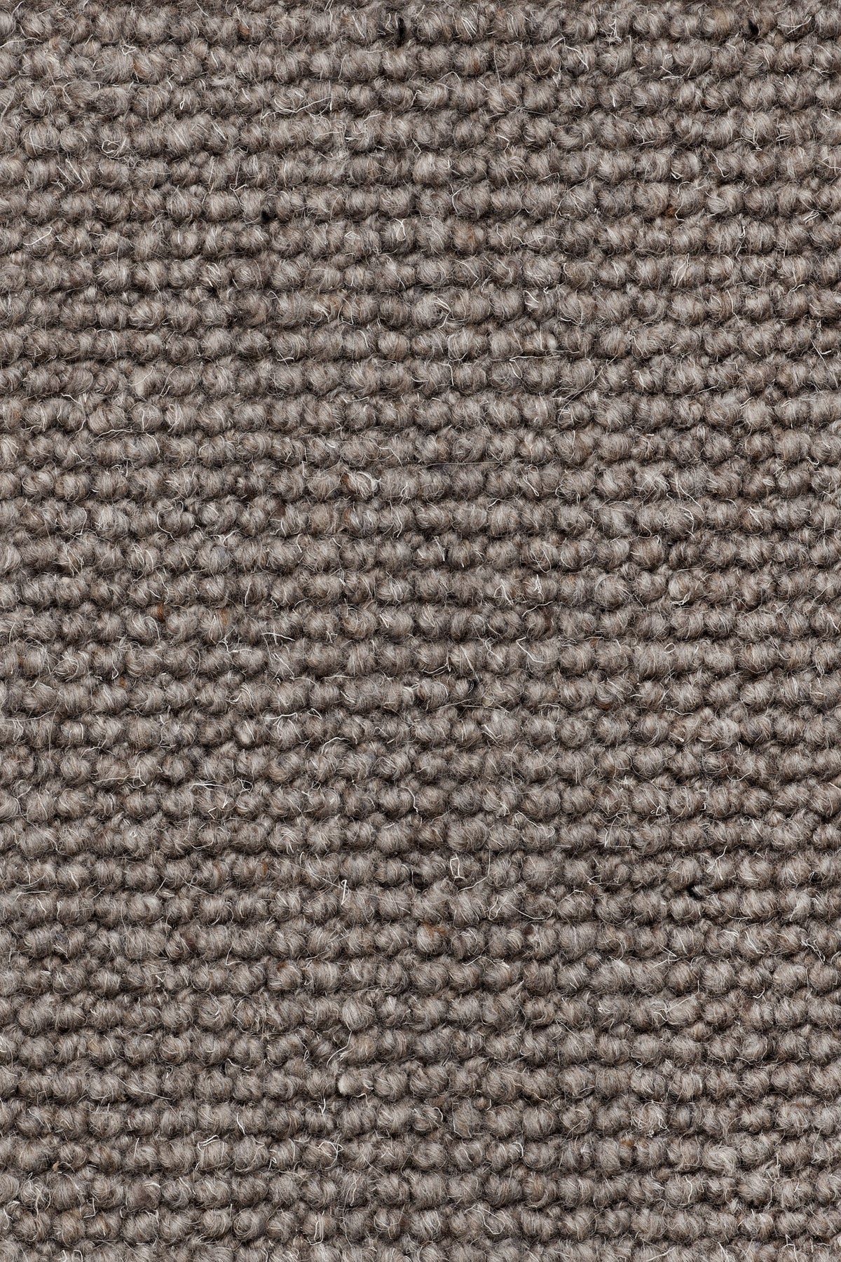 Olvessa Teppichboden | Farbe: Dunkeltaupe Hell (202)