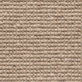 Nougat (2728)