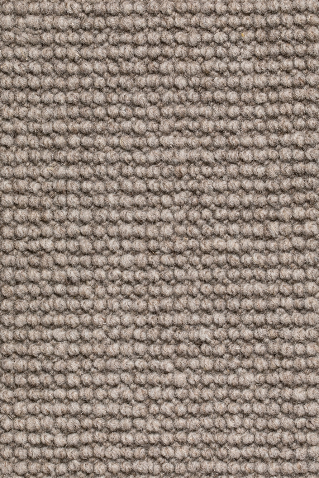 Olvessa Teppichboden | Farbe: Taupe (240)