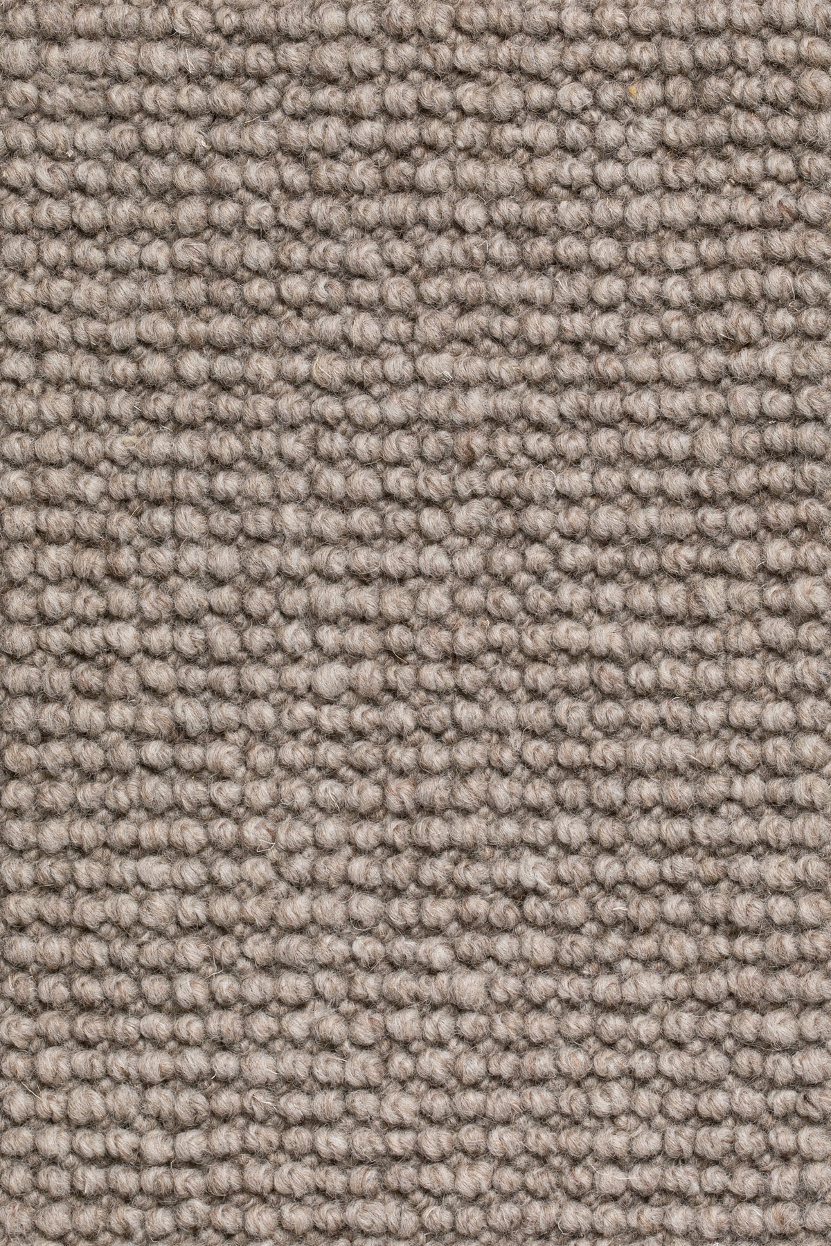 Olvessa Teppichboden | Farbe: Taupe (240)