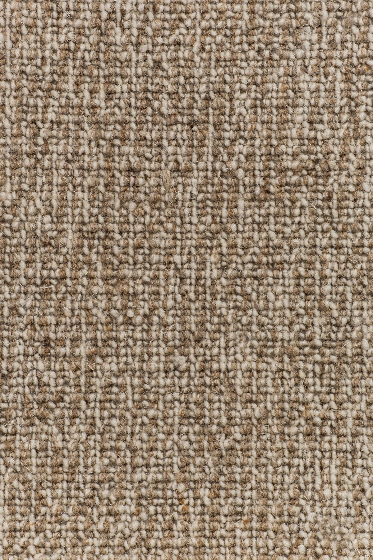 Ondessa Teppichboden | Farbe: Dunkeltaupe Hell (4425)