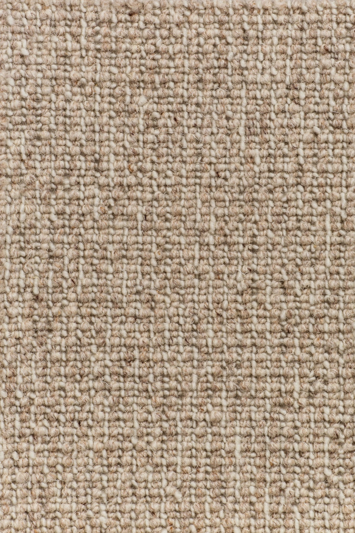 Ondessa Teppichboden | Farbe: Nougat (4402)