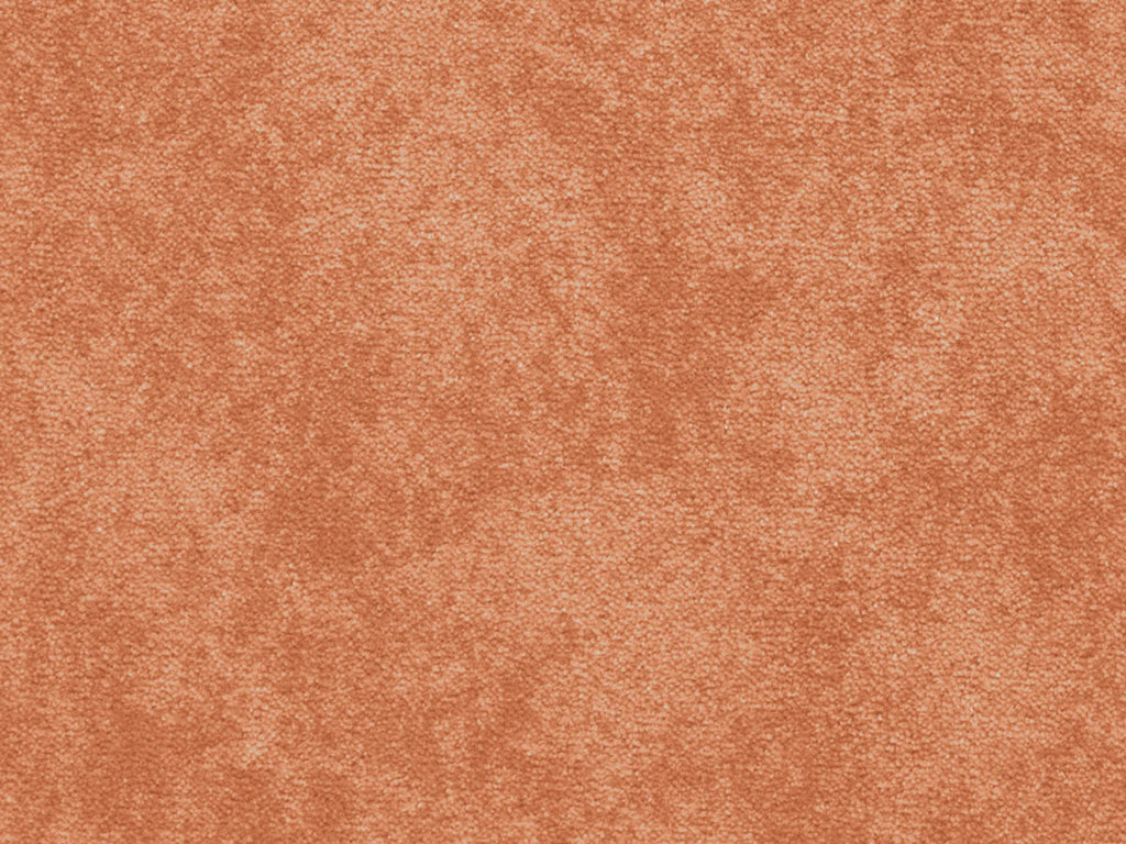 Ophira Teppichboden | Farbe: Terrakotta (313)