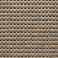 Dunkeltaupe Hell (10)