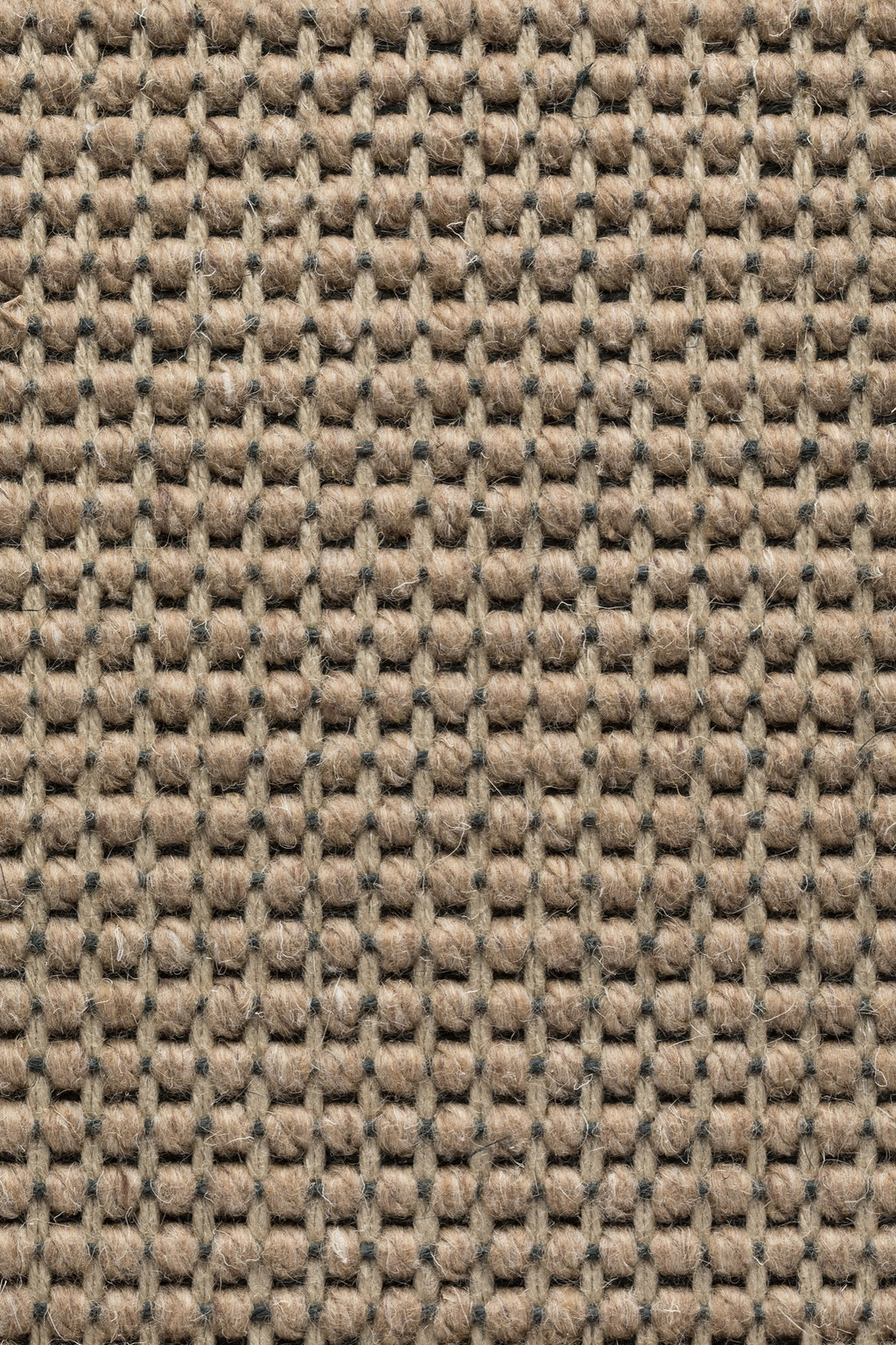 Ordella Teppichboden | Farbe: Dunkeltaupe Hell (10)