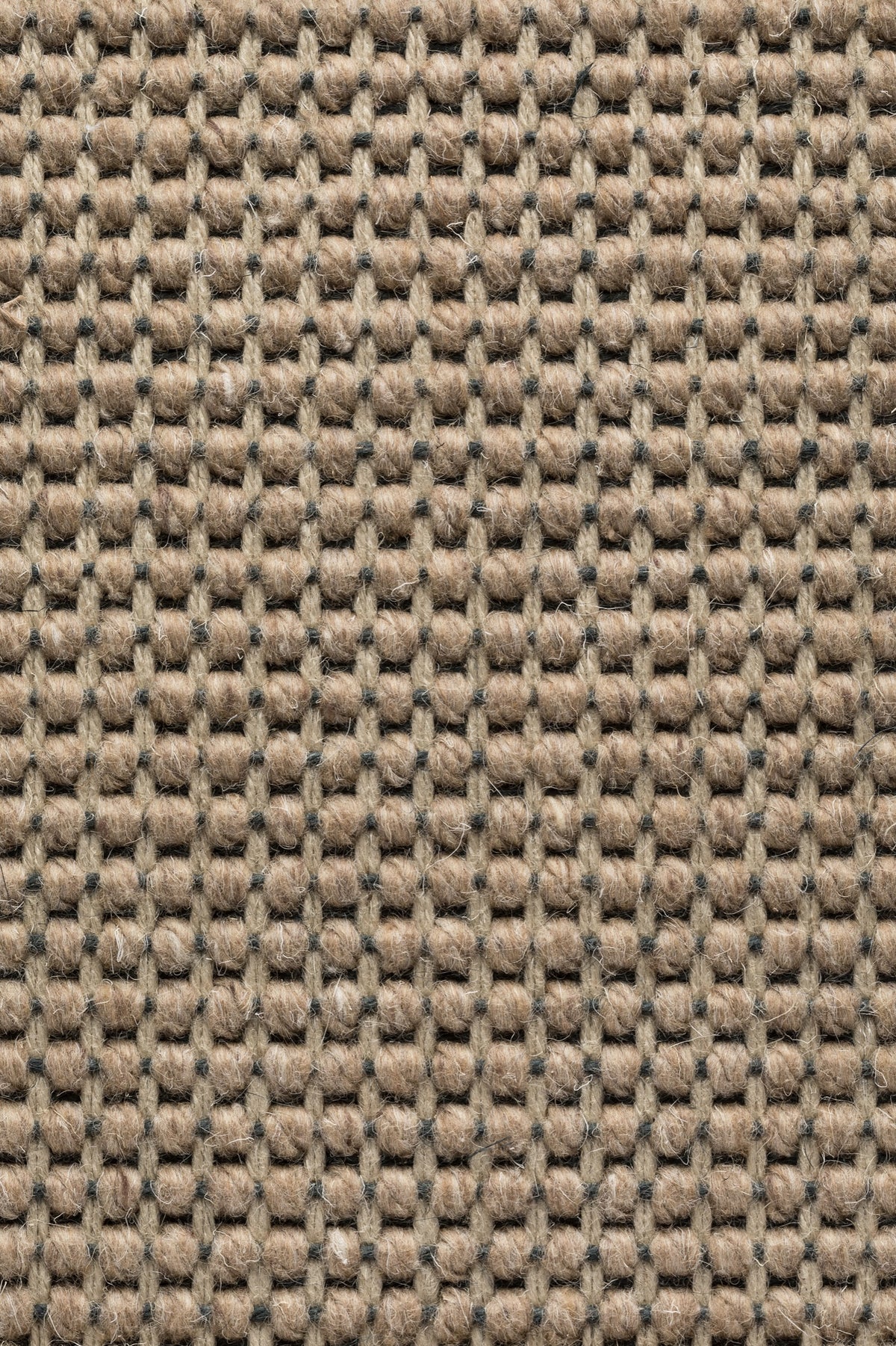 Ordella Teppichboden | Farbe: Dunkeltaupe Hell (10)