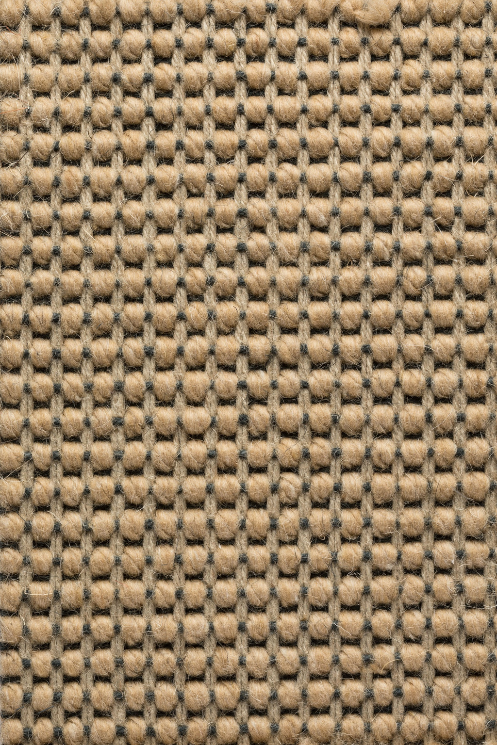 Ordella Teppichboden | Farbe: Nougat (5)