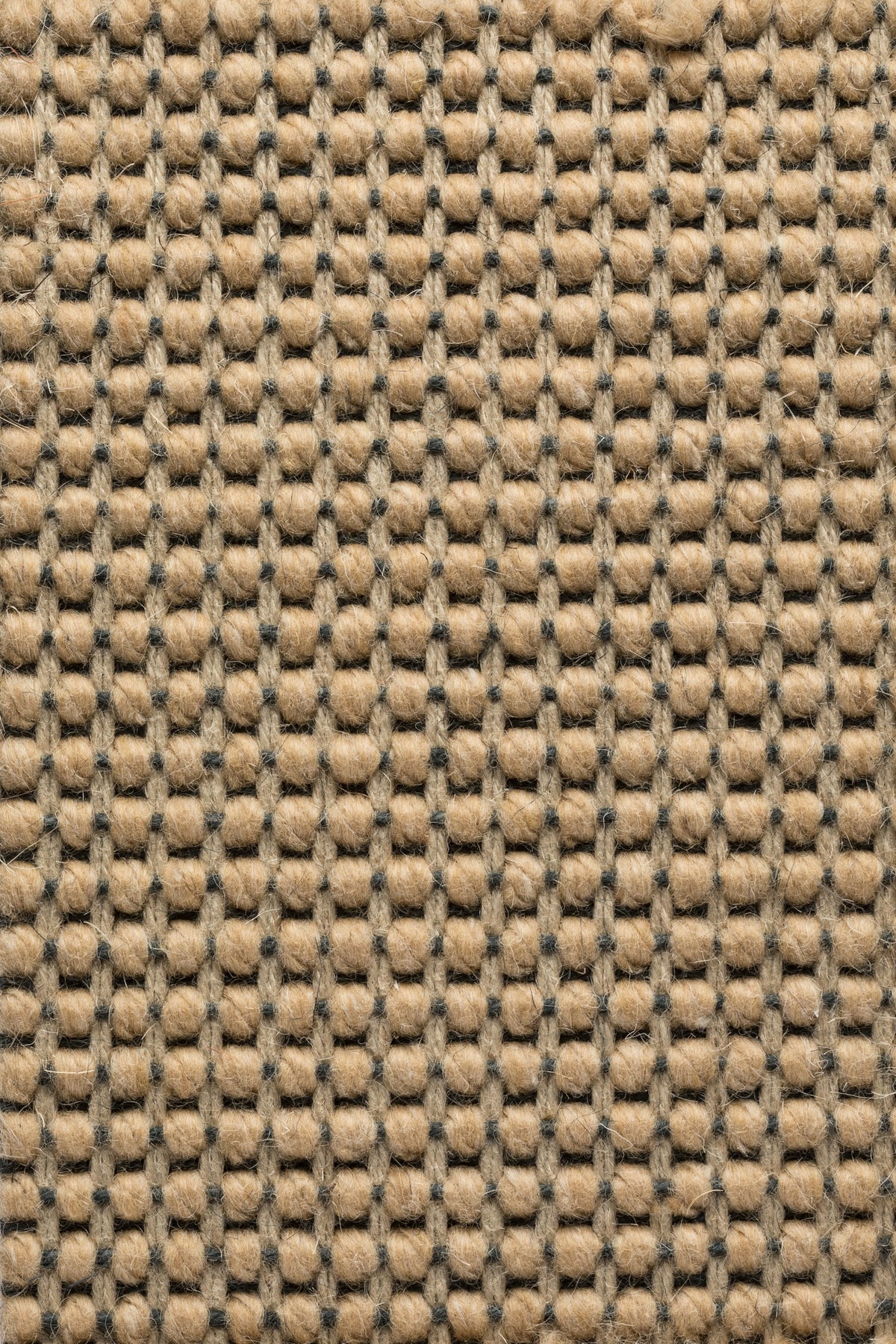 Ordella Teppichboden | Farbe: Nougat (5)