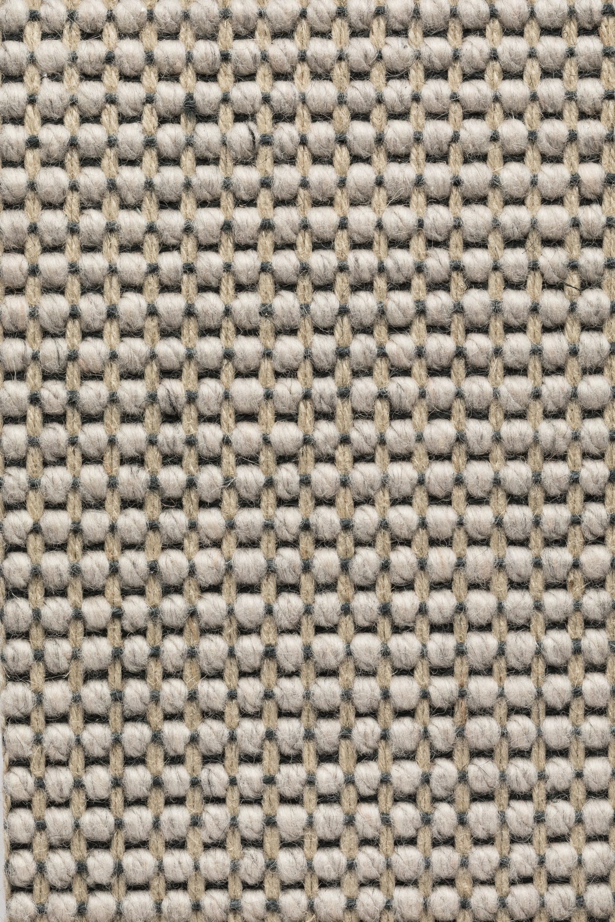 Ordella Teppichboden | Farbe: Taupe (35)