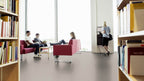 Ostrevia PVC-Boden homogen 200cm | Farbe: Steingrau | Raumansicht