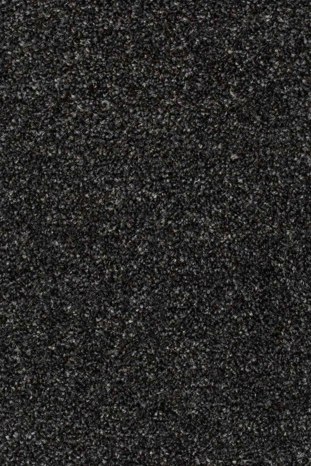 Palura Teppichboden | Farbe: Schwarz (077) | Farbansicht