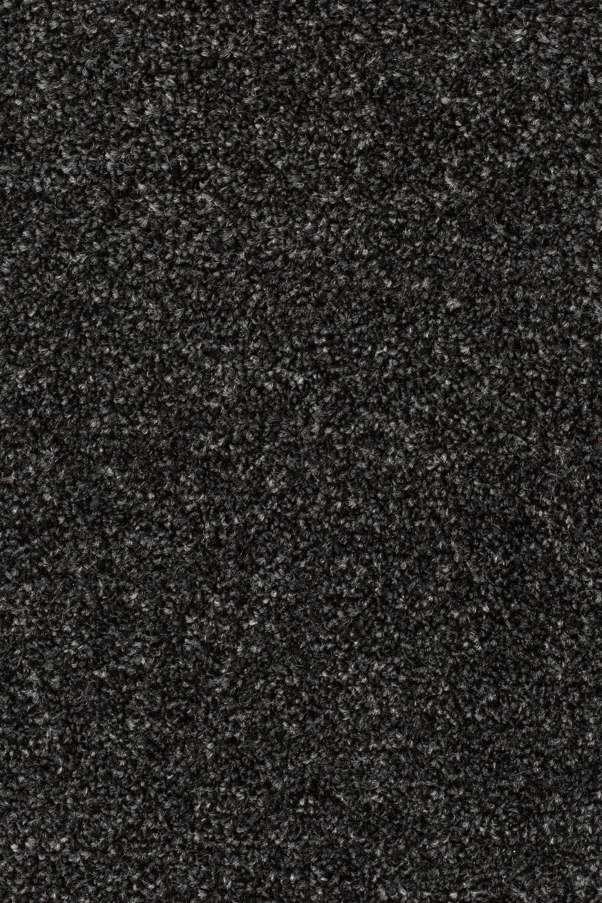 Palura Teppichboden | Farbe: Schwarz (077) | Farbansicht